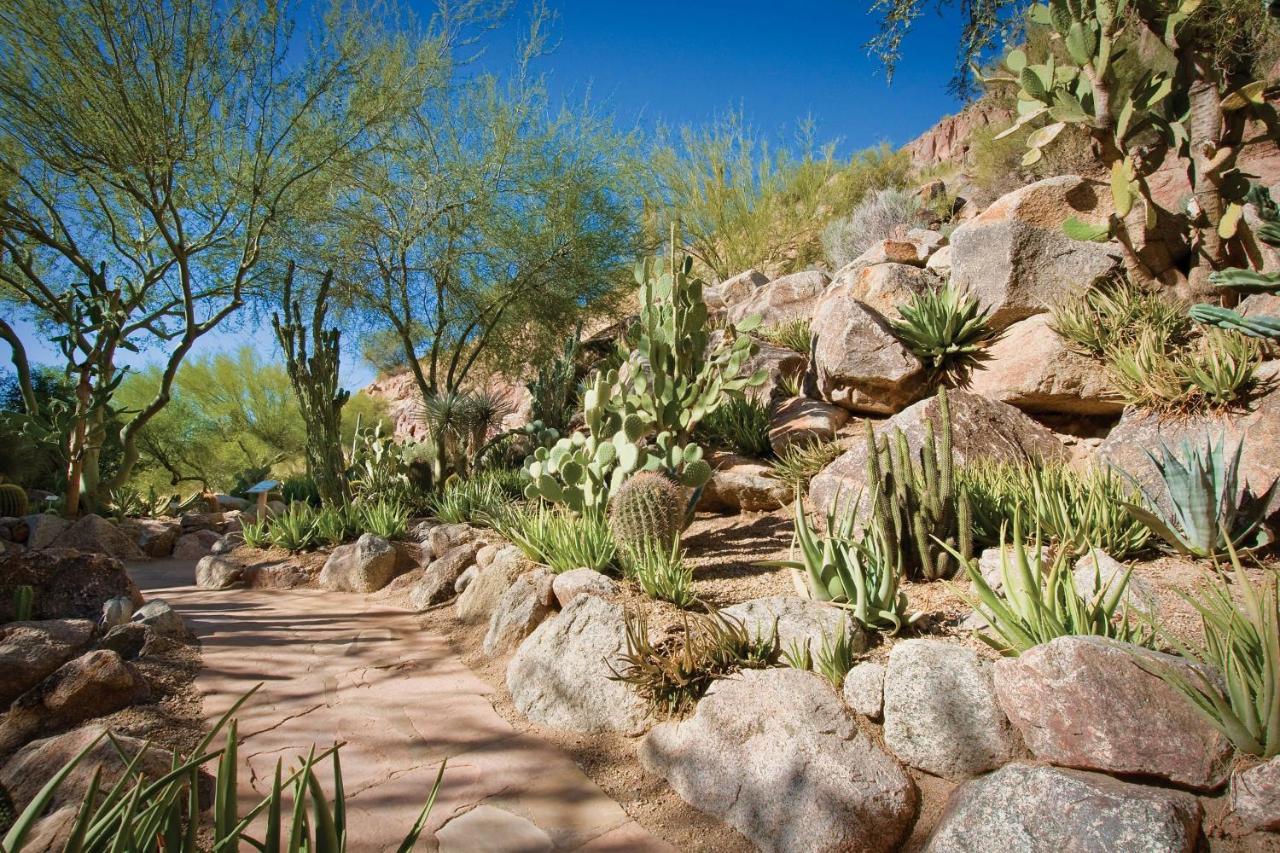The Canyon Suites At The Phoenician, A Luxury Collection Resort, Scottsdale Paradise Valley Екстер'єр фото