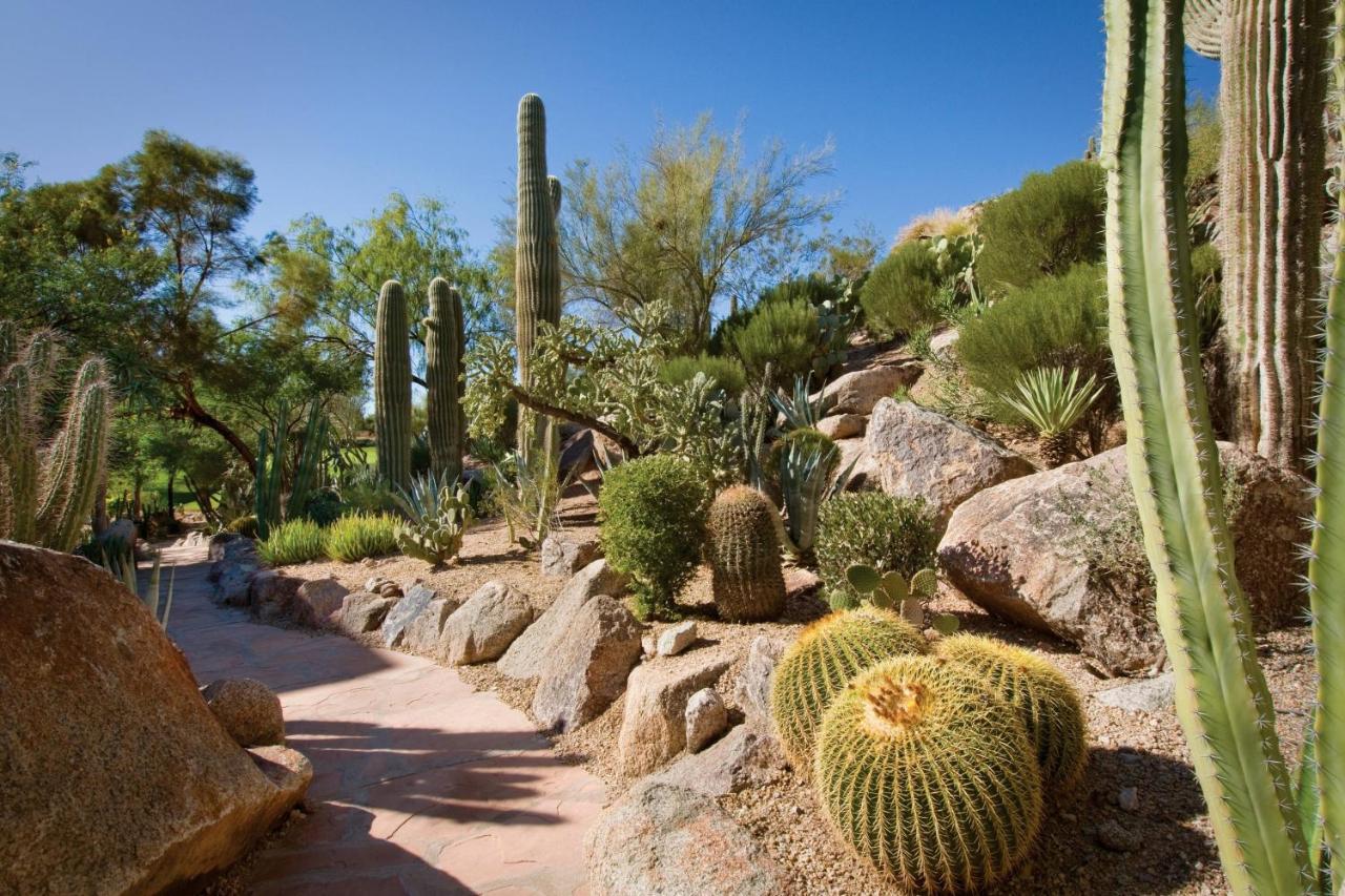 The Canyon Suites At The Phoenician, A Luxury Collection Resort, Scottsdale Paradise Valley Екстер'єр фото